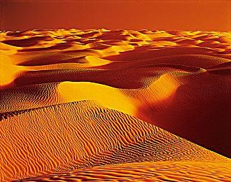 《原子之心》新介绍视频 四个想杀死你的机器人敌人